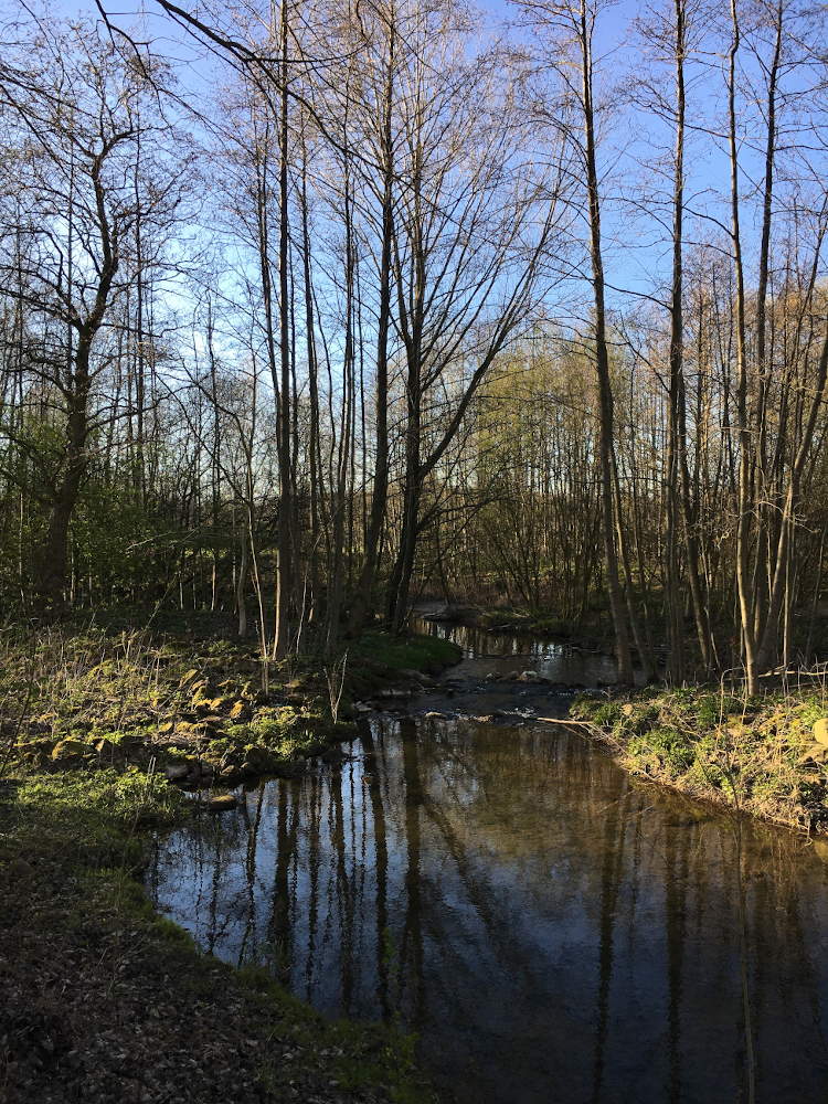 Gewässer am Werseradweg bei Ahlen.