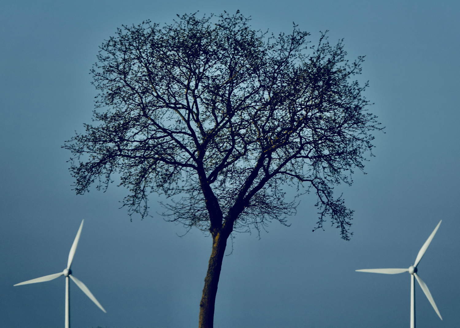 Windräder und erneuerbare Energie: Unsere Zukunft.