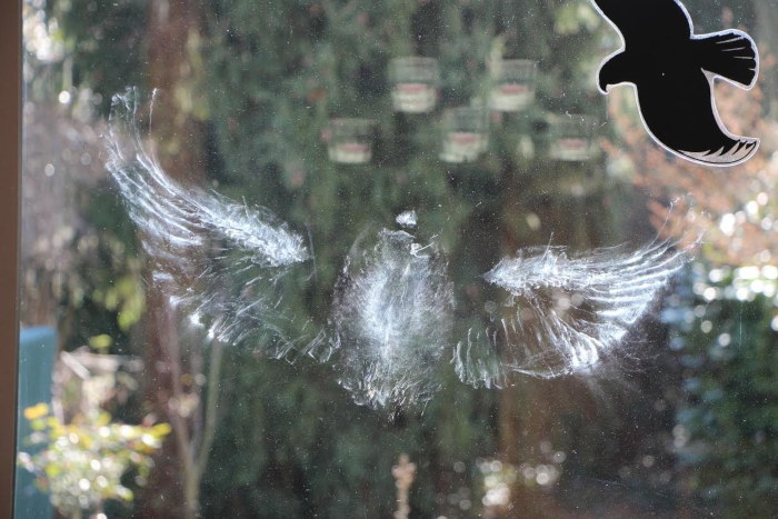 Vogelschlag an Glas: Auch aufgeklebte Vogesilhouetten helfen nicht dagegen.