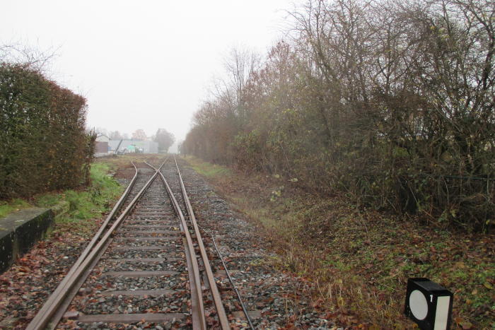 Schienenwege des Schienen-Personen-Nahverkehrs (SPNV) zwischen Münster und Sendenhorst, umgeben von Büschen.